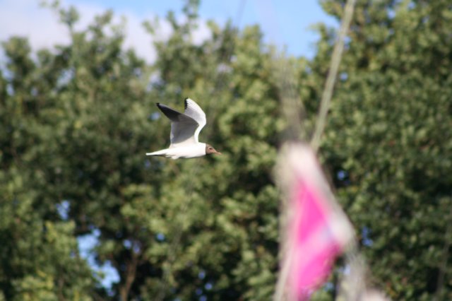 img_3371.jpg