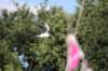 img_3371_small.jpg