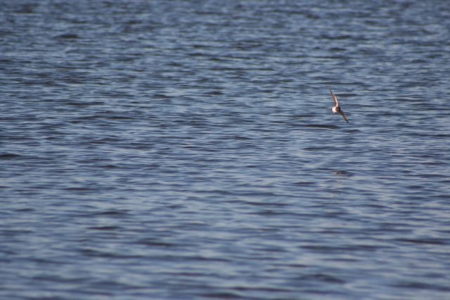 img_3378.jpg