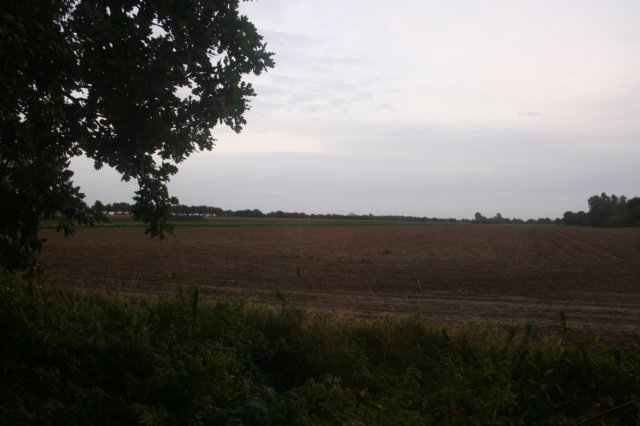 img_1354.jpg