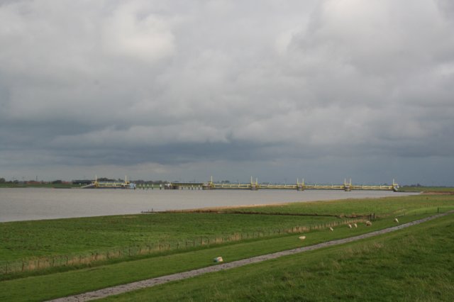 img_1383.jpg