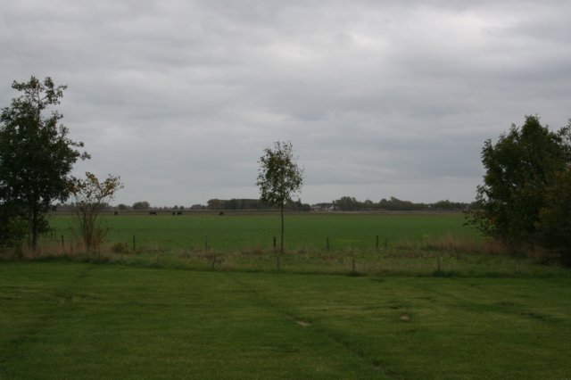 img_1462.jpg